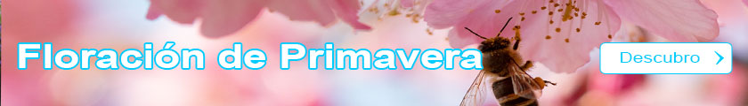 Arbustos de floracin de Primavera