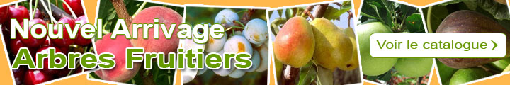 Arbres fruitiers