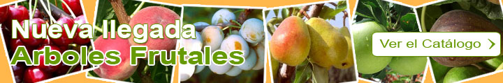 Arboles frutales