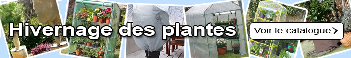 Hivernage des plantes