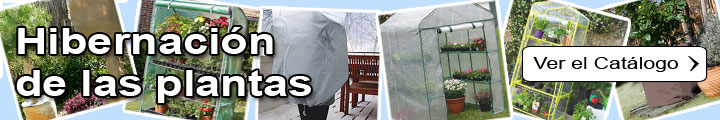 Hibernaci�n de las plantas