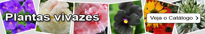 Plantas vivazes, Plantas perenes