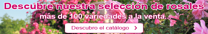 Los Rosales hacen su 'rentre' !