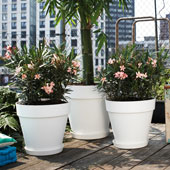 Viveros y Jardinería online - Planfor