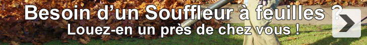 Louez un souffleur  feuilles