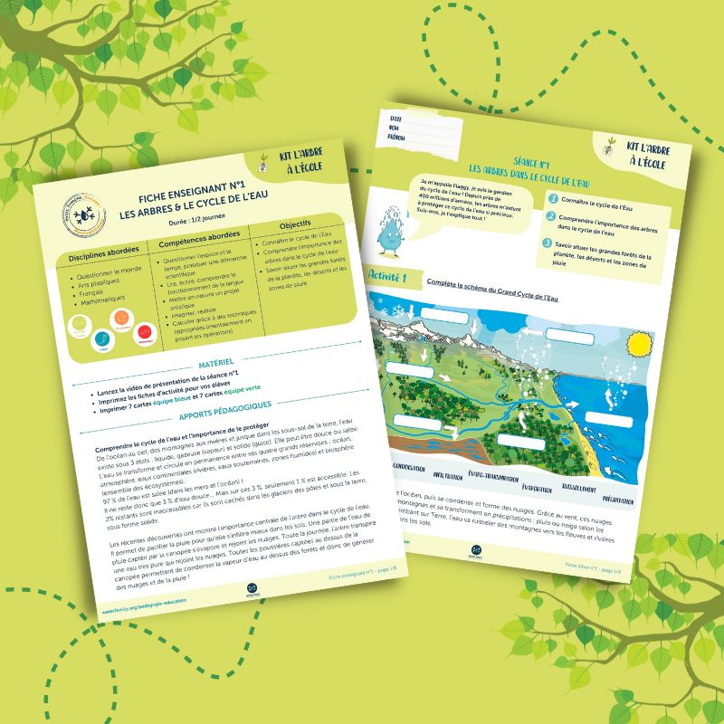 Kit pdagogique l'Arbre  l'cole  Sance 1  Les arbres et le cycle de l'eau