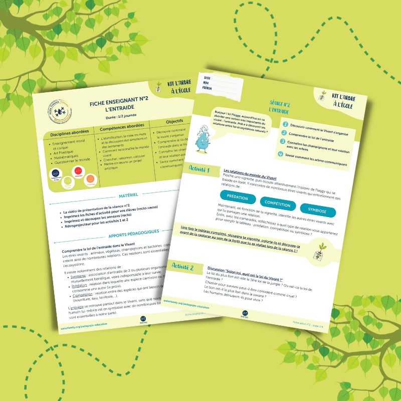 Kit pdagogique l'Arbre  l'cole  Sance 2  L'entraide