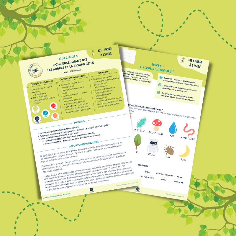 Kit pdagogique l'Arbre  l'cole  Sance 3  Les arbres et la biodiversit