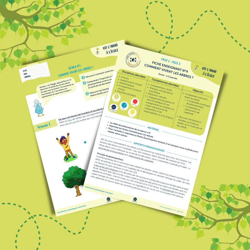 Kit pdagogique l'Arbre  l'cole  Sance 4  Le mode de vie des arbres