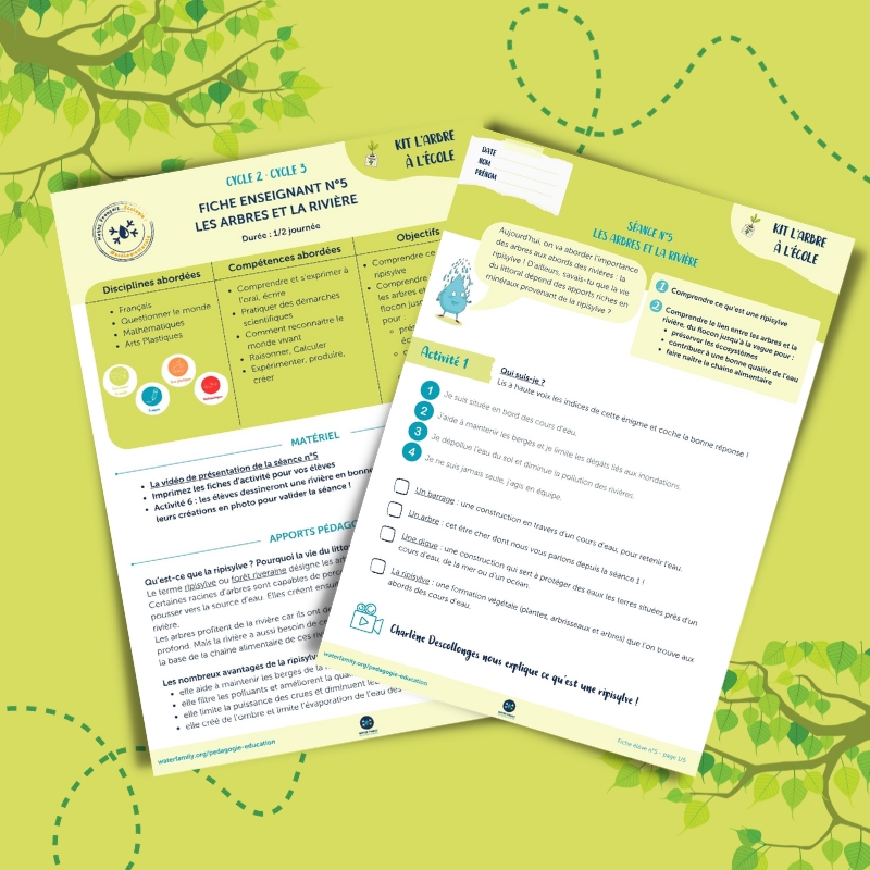 Kit pdagogique l'Arbre  l'cole  Sance 5  Les arbres et la rivire