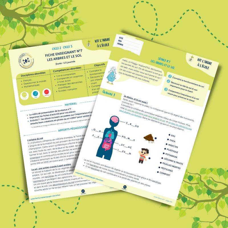 Kit pdagogique l'Arbre  l'cole  Sance 7  Les arbres et le sol