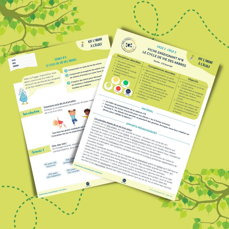 Kit pdagogique l'Arbre  l'cole  Sance 8  Le cycle de vie des arbres