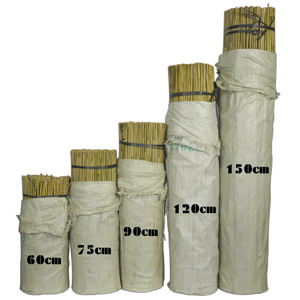 Tuteurs en Bambou naturel