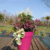 Jardinire de printemps 'Spring Red Queen'