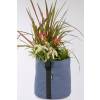 Jardinire de printemps 'Spring Blue Majesty'