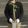 M�rier sans �pine