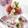 Fraisier 'Pineberry', Fraise blanche-Ananas