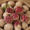 Noyer � cerneaux rouge 'Rubin'