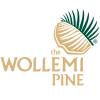 Pin Wollemi