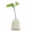 Ginkgo pour cadeaux d'affaires