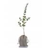 Bb arbre pour une naissance ou un baptme