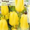 Tulipe fosteriana 'Candela'