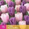 Tulipe en mlange Macaron