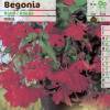 Bgonia Retombant Rouge