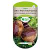 Chou navet Champion collet rouge - Rutabaga