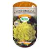 Chou brocolis Romanesco race Campidoglio