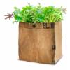 Kit de Plantation Salade Bio - Mesclun