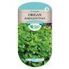 Origan Marjolaine vivace (graines)