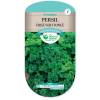 Persil Fris� Vert fonc� (graines)