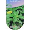Basilic Citron - Semences