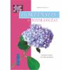 Livre : Hortensias et hydrangeas