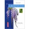 Livre : Plantes Grimpantes