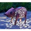 Animal Dcoratif Lumineux - Cochon