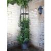 Oblisque pour Plantes Grimpantes YORK - 220 cm