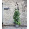 Obélisque pour Plantes Grimpantes OXFORD - 210 cm