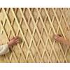 Treillis extensible en Bois - 100 x 200 cm