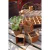 Godets Carrs Compostables - 8 cm
