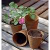 Godets biod�gradables ronds 6cm