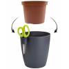 Brussels Herbs Single - Anthracite - Elho