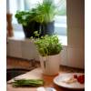 Brussels Herbs Single - Anthracite - Elho