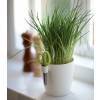 Brussels Herbs Single - Anthracite - Elho