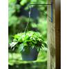 Corsica Hanging Basket - D30 cm - Blanc - Elho