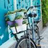 Corsica Vertical Garden - Citron Vert - Elho