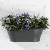 Corsica Wall Basket - 39x17cm - Vert citron - Elho