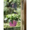 Corsica Hanging Basket - D30cm - Cerise - Elho