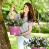 Corsica Hanging Basket - D30cm - Cerise - Elho